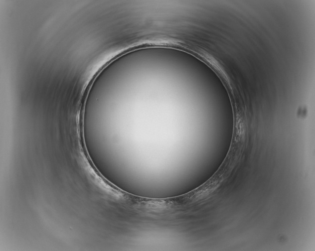 X0000112840959200908211238