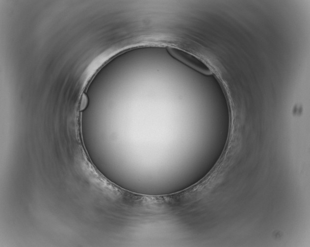 X0000112840960200908211238