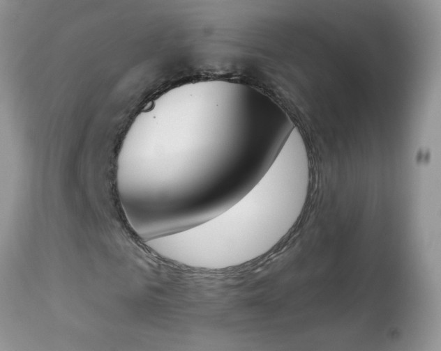 X0000112840961200908211237