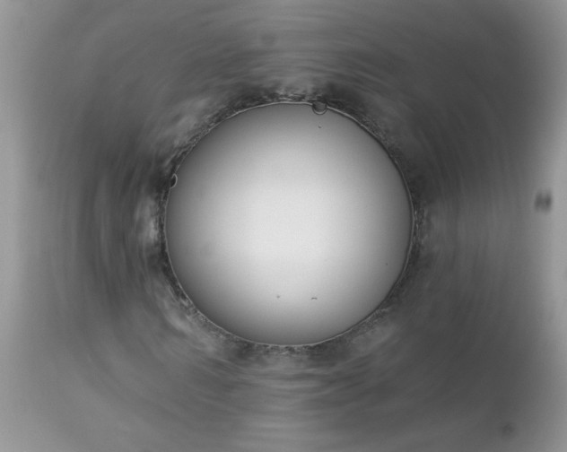 X0000112840962200908211237