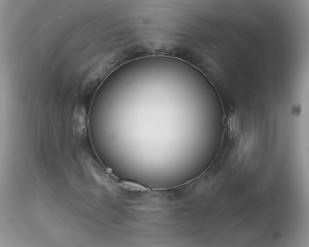 X0000112840963200908211237