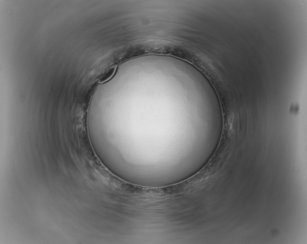 X0000112840964200908211237