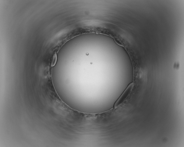 X0000112840965200908211237