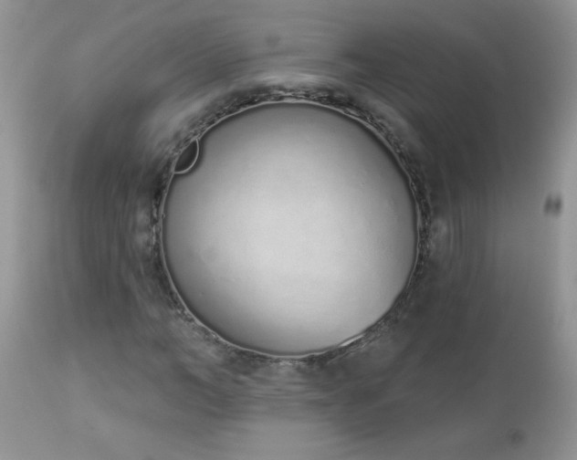 X0000112840966200908211237