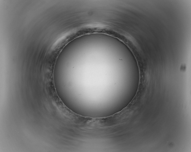 X0000112840967200908211237