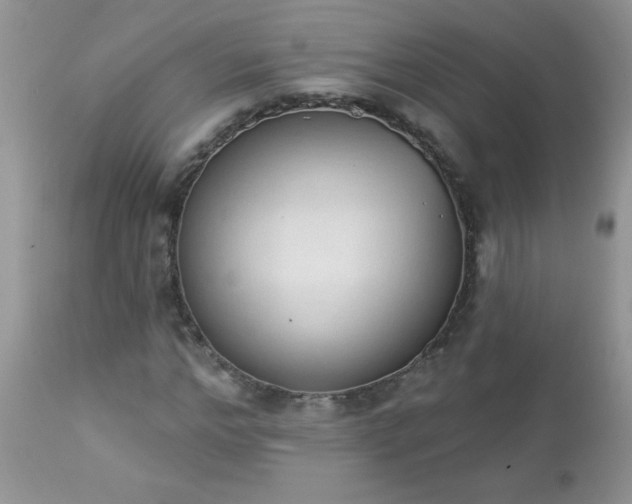 X0000112840968200908211237