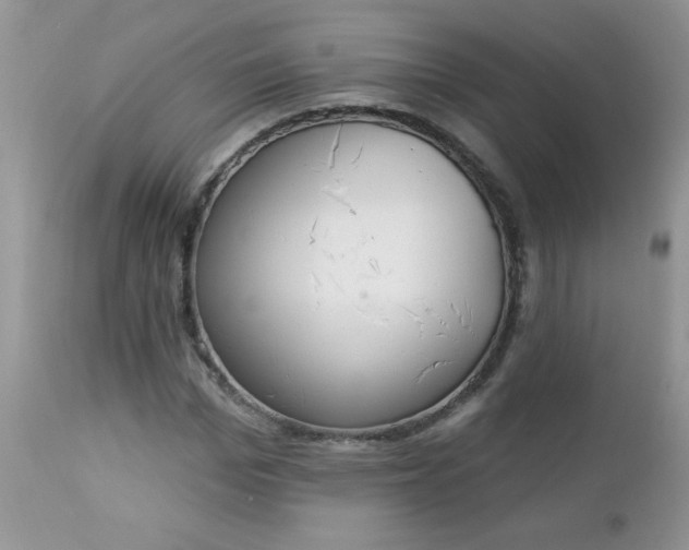 X0000112840969200908211237