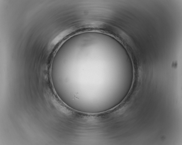 X0000112840970200908211237