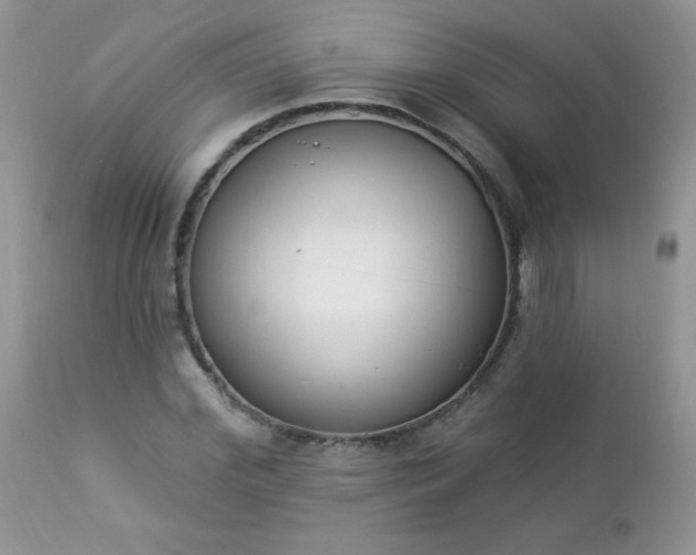 X0000112840972200908211237