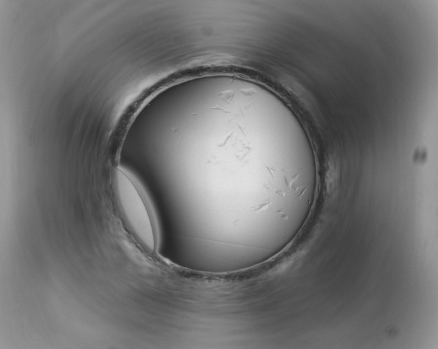 X0000112840973200908211237