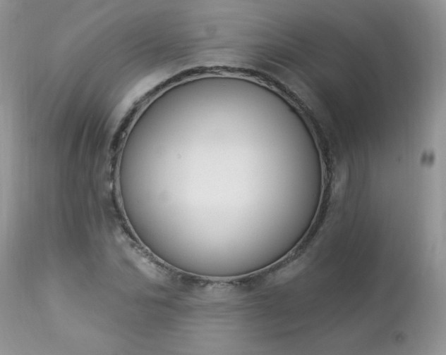 X0000112840974200908211237