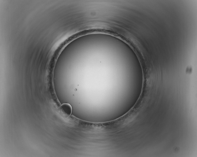 X0000112840975200908211237