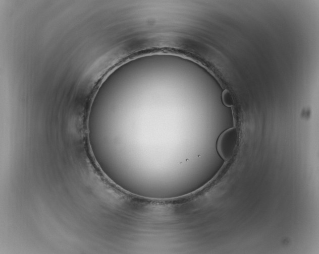 X0000112840977200908211237