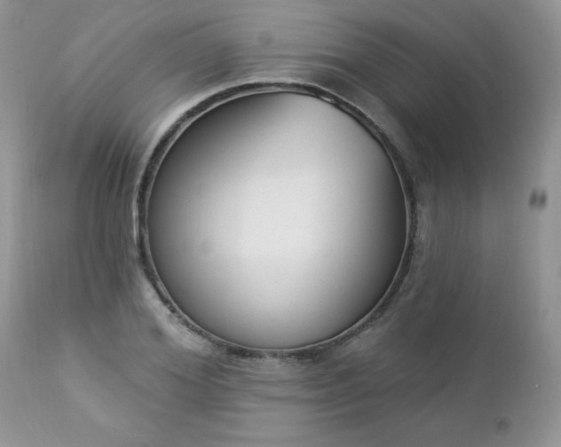 X0000112840980200908211237