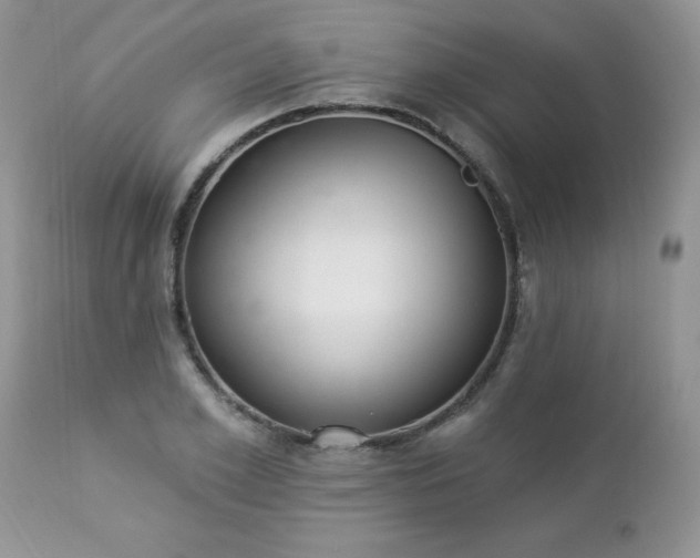 X0000112840981200908211237