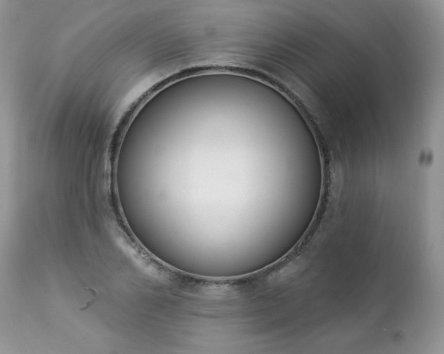 X0000112840982200908211237