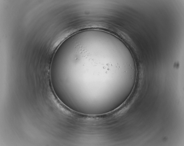 X0000112840985200908211237