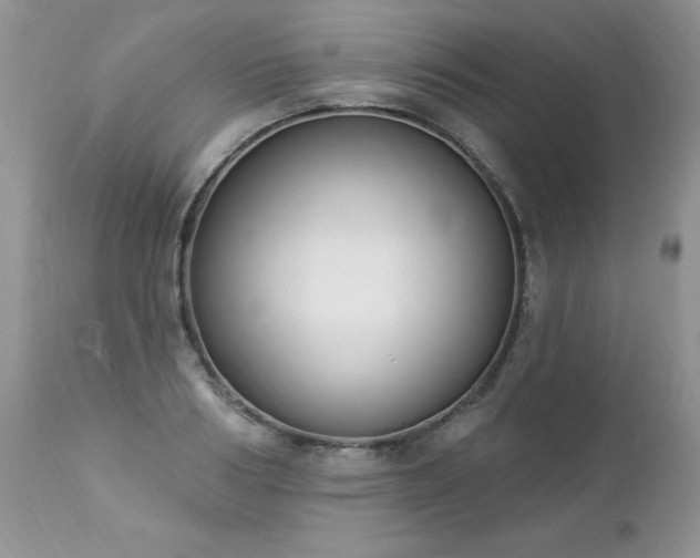 X0000112840986200908211237