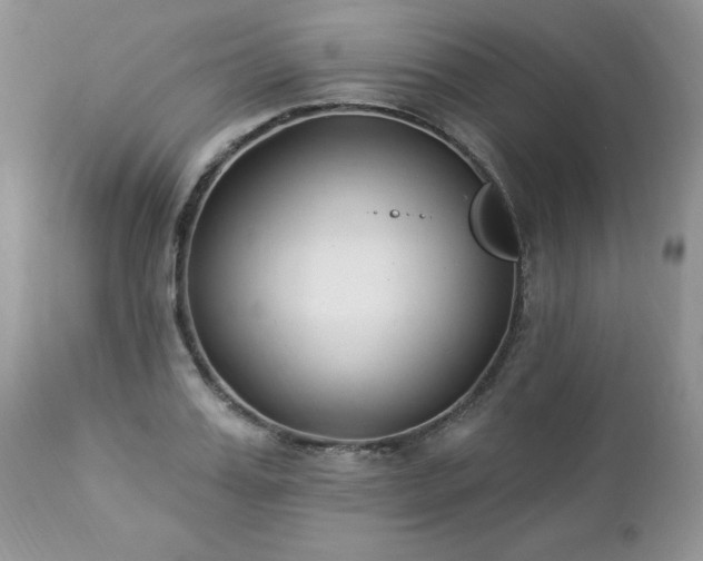 X0000112840987200908211237