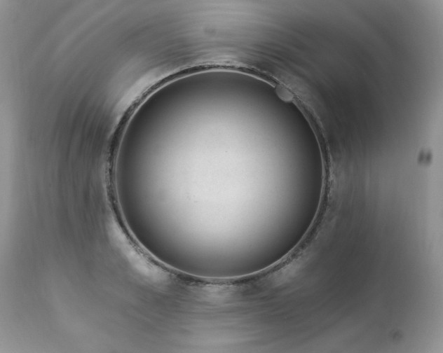 X0000112840989200908211237