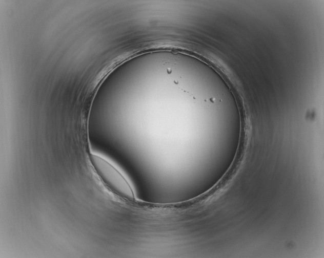 X0000112840993200908211237