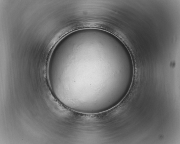 X0000112840994200908211237