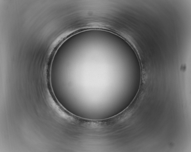 X0000112840995200908211237