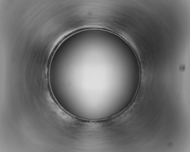 X0000112840996200908211237