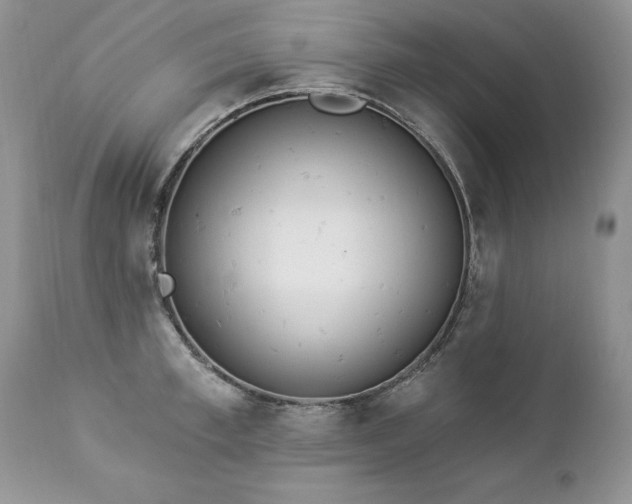 X0000112840997200908211237