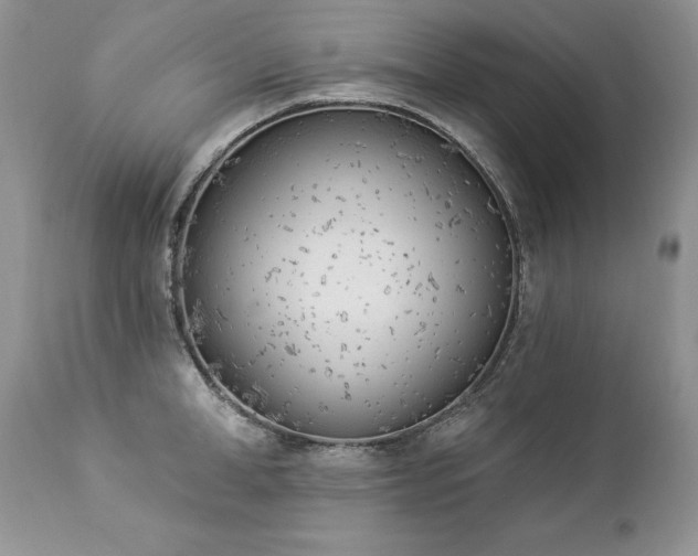 X0000112840998200908211237