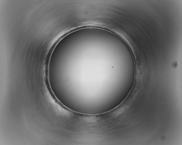 X0000112840999200908211237