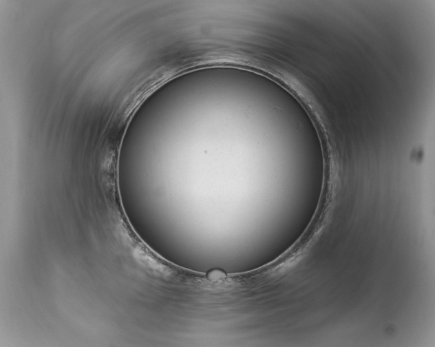 X0000112841001200908211237