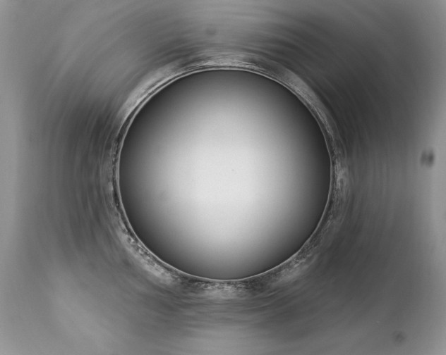 X0000112841002200908211237