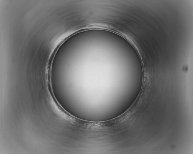 X0000112841003200908211236