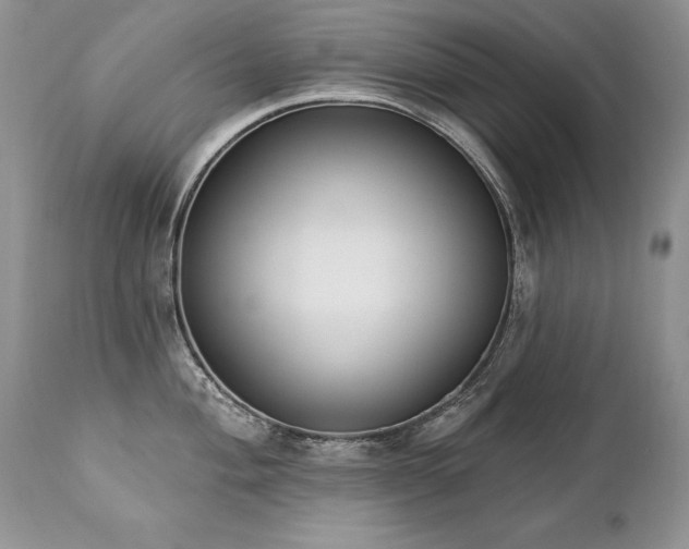 X0000112841004200908211236