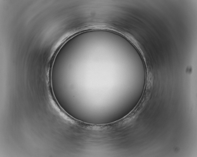 X0000112841005200908211236