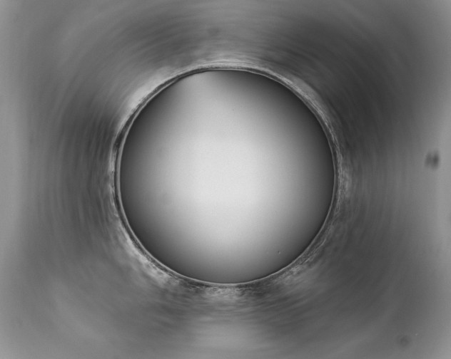 X0000112841006200908211236