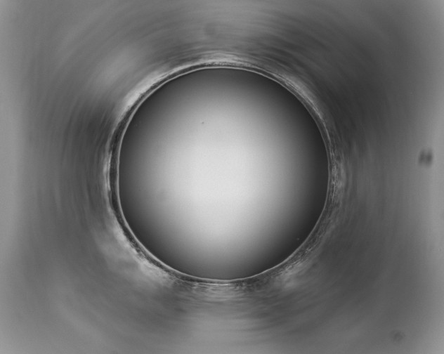 X0000112841007200908211236