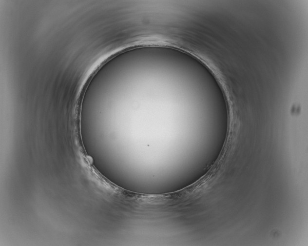 X0000112841008200908211236