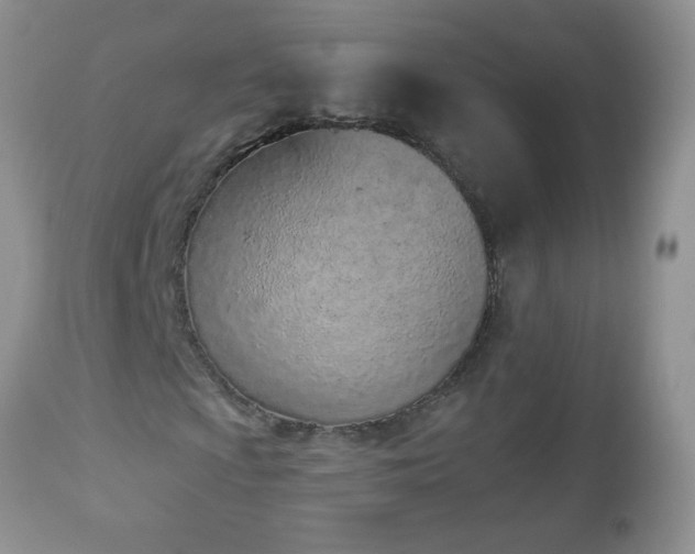 X0000112841009200908211235