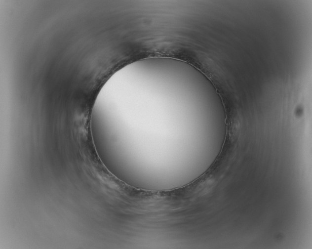 X0000112841010200908211235