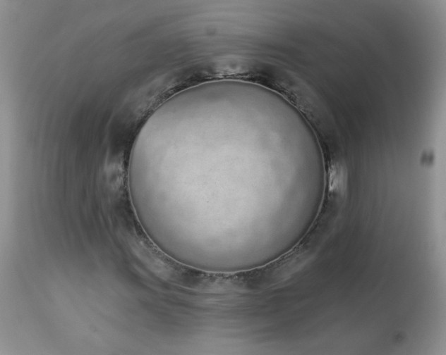 X0000112841011200908211235