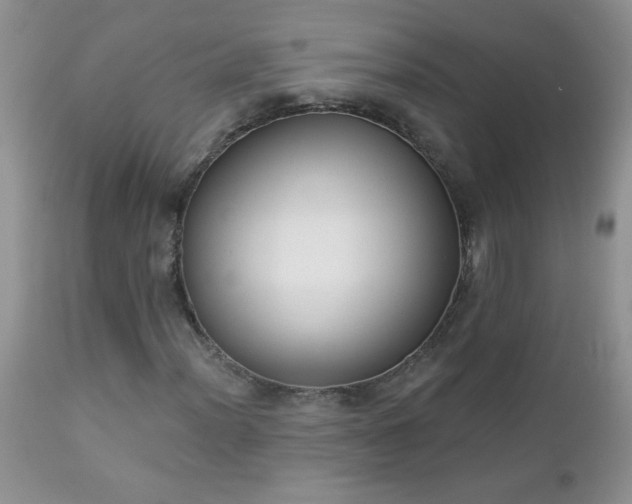 X0000112841012200908211235