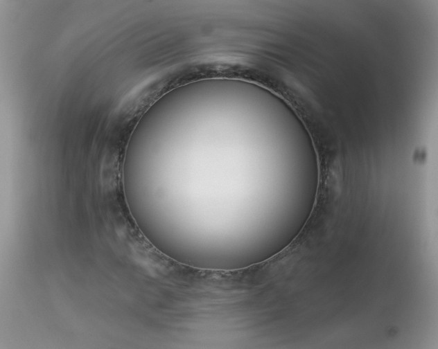 X0000112841014200908211236