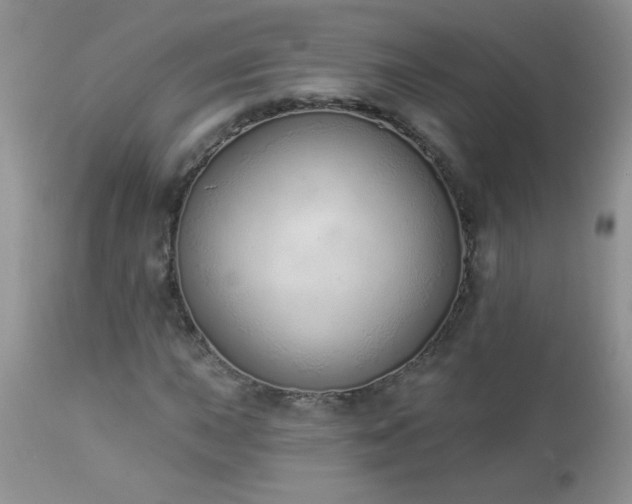 X0000112841015200908211236