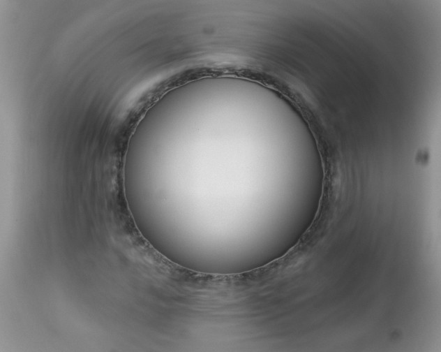 X0000112841016200908211236