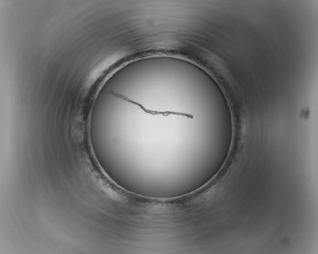 X0000112841018200908211236