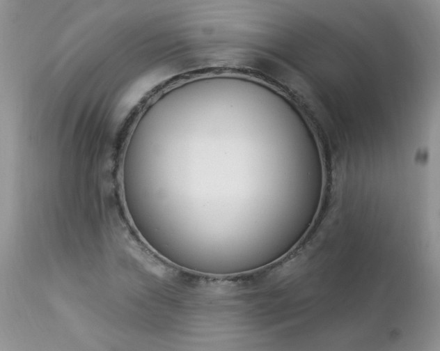 X0000112841019200908211236