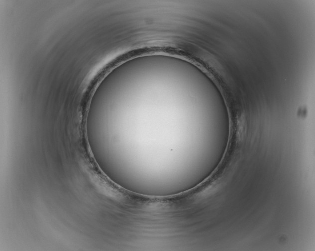 X0000112841021200908211236