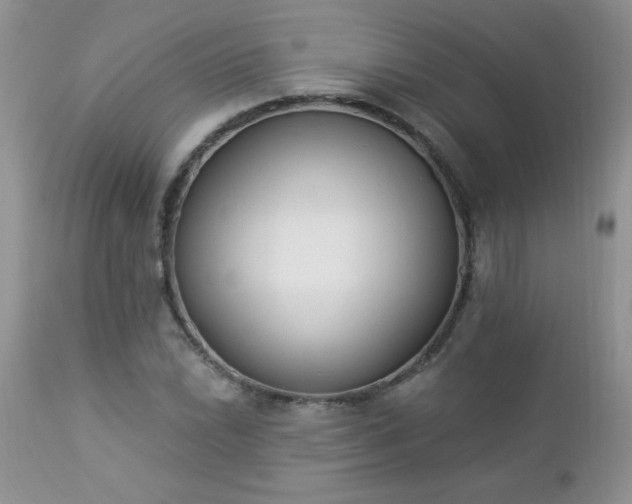 X0000112841022200908211236